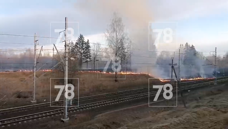    Автор фото: 78.ru