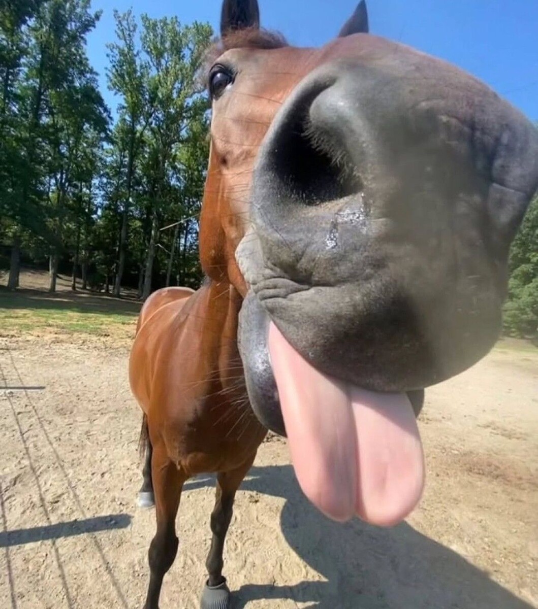 -Жара! Жара! Жара!