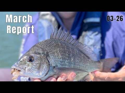    Робототехнические решения кардинально меняют подход к промышленному производству