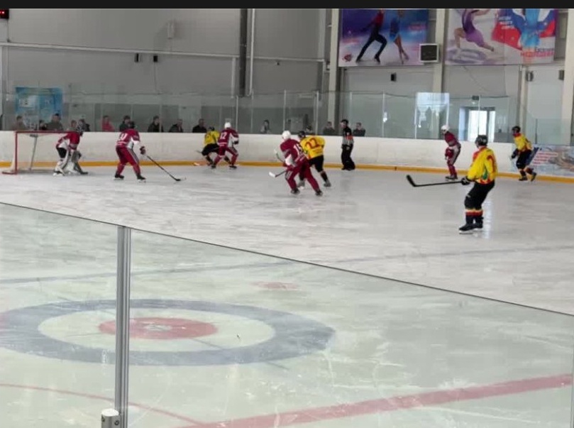 Металлург Выкса - ХК Арзамас