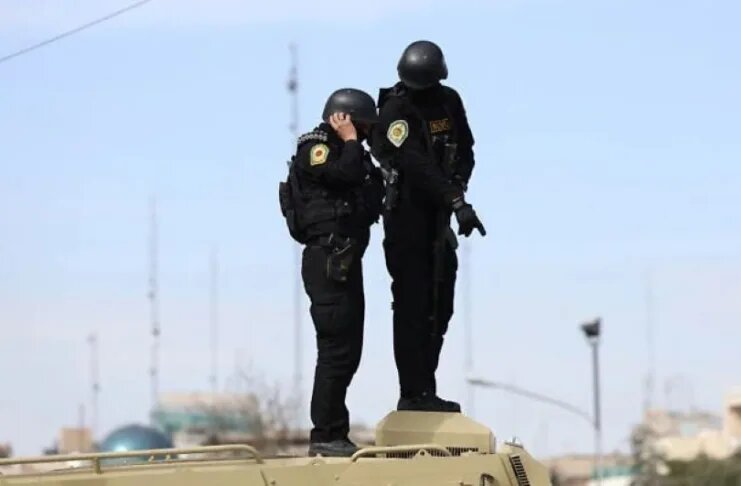    фото: телеграм-канал Readovka.