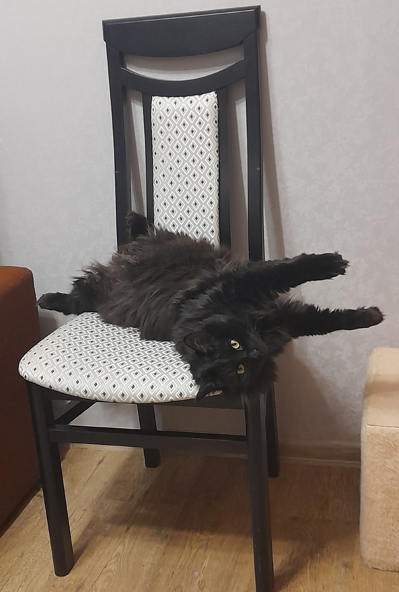 Охота завершена. Сыт, доволен и слегка горд собой. Отдых заслуженный.