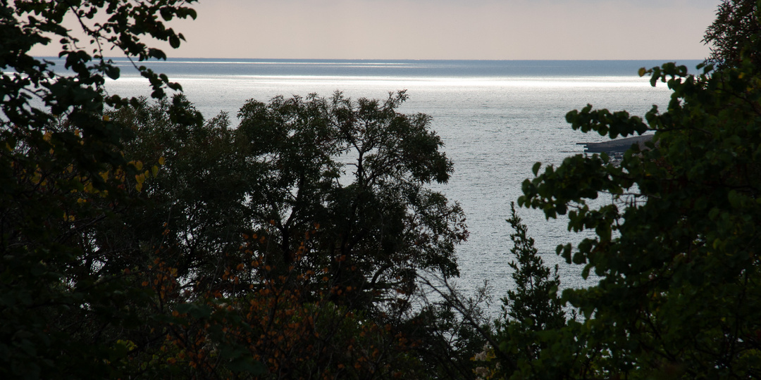 Высшее удовольствие