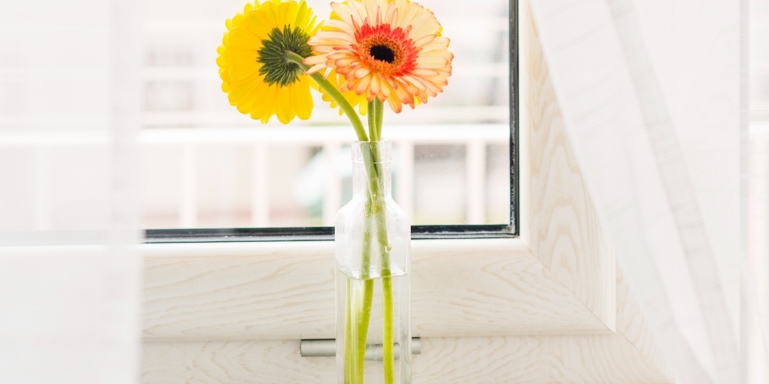 "8 см за 3 часа".