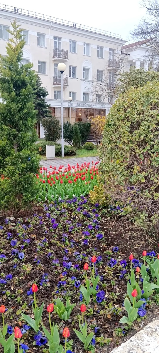 Анапа набережная тюльпаны