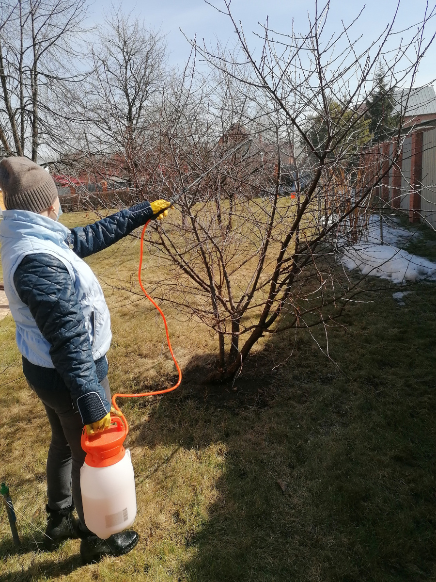 Фото Нины Щербаковой