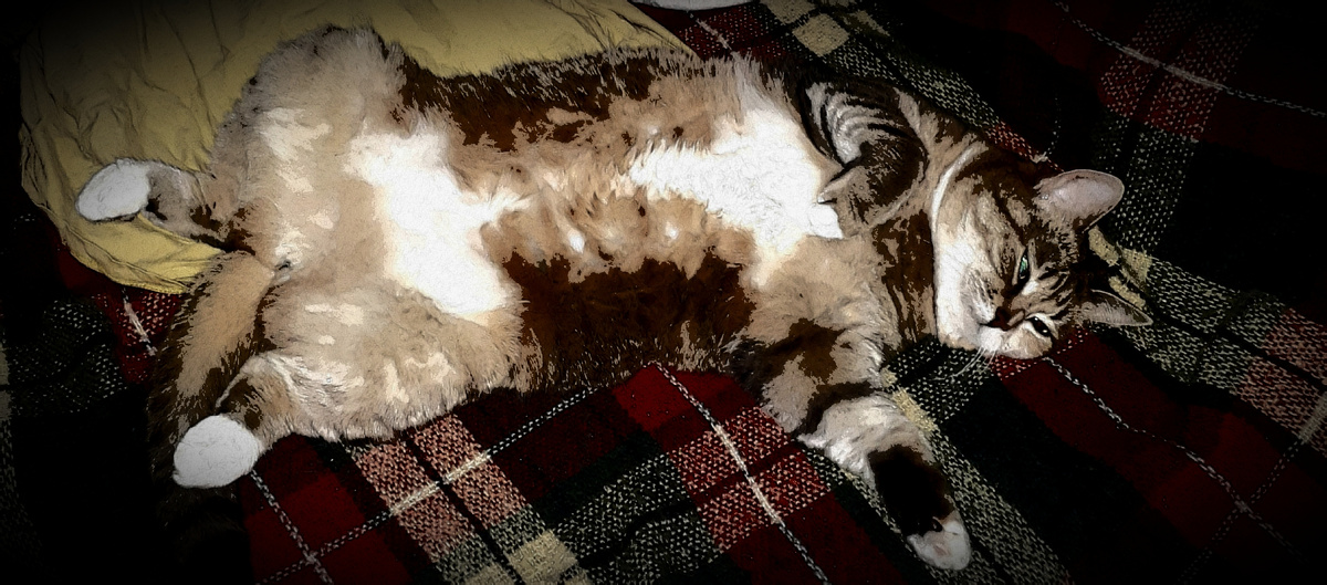 Фото автора 28.03.2026г.