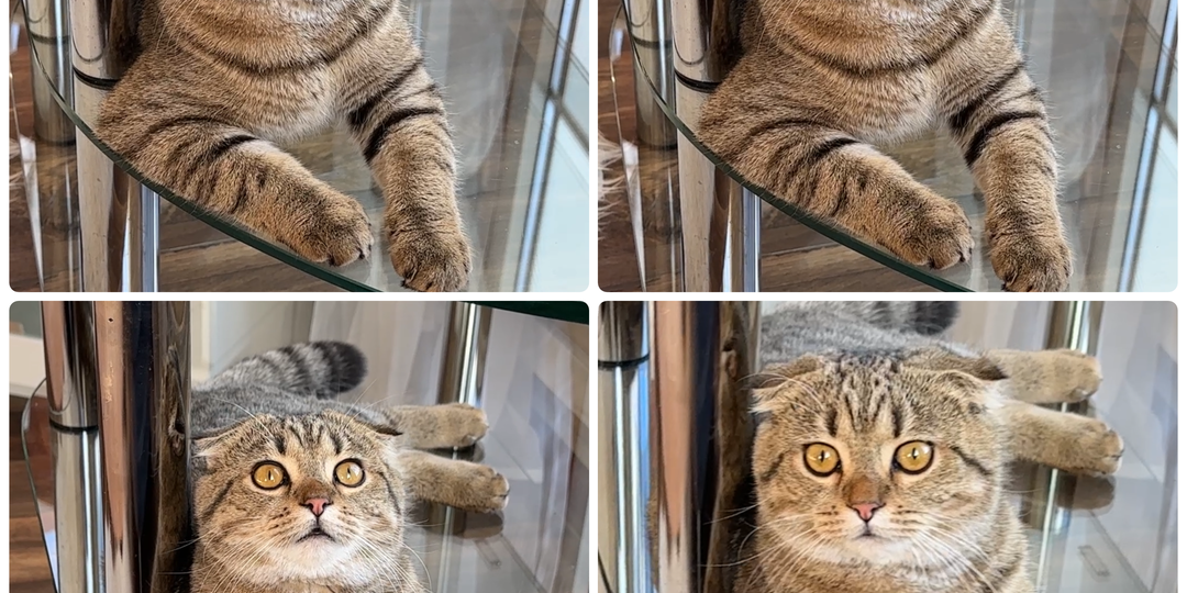 Манул♥️Для своих Маня😉