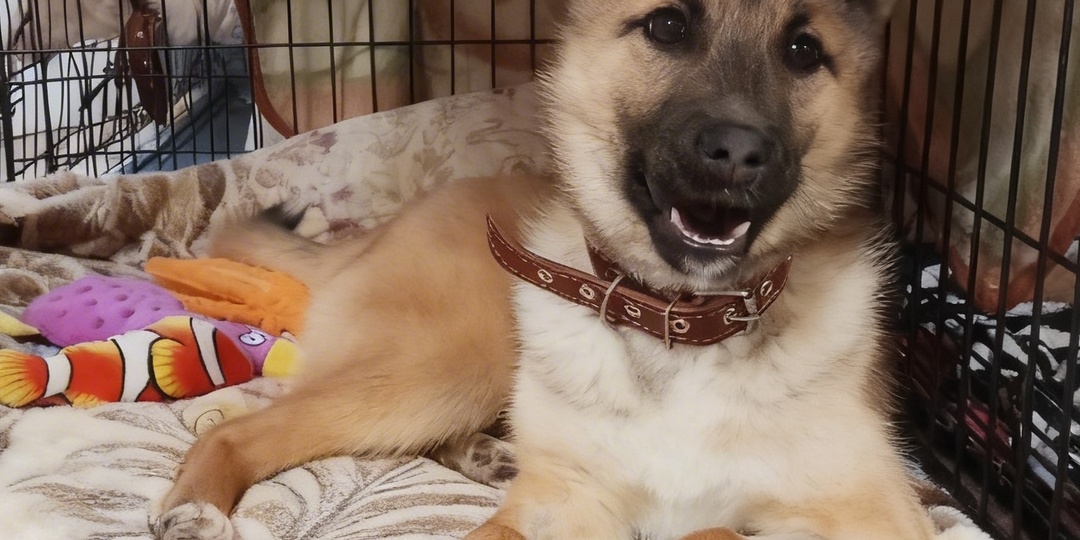 Чудо, которое мы сотворили вместе: Машенька расправила крылья