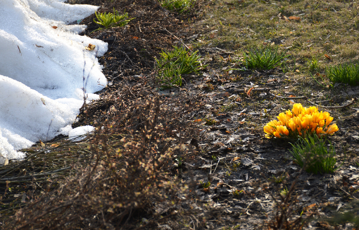 Все фотографи в статье мои