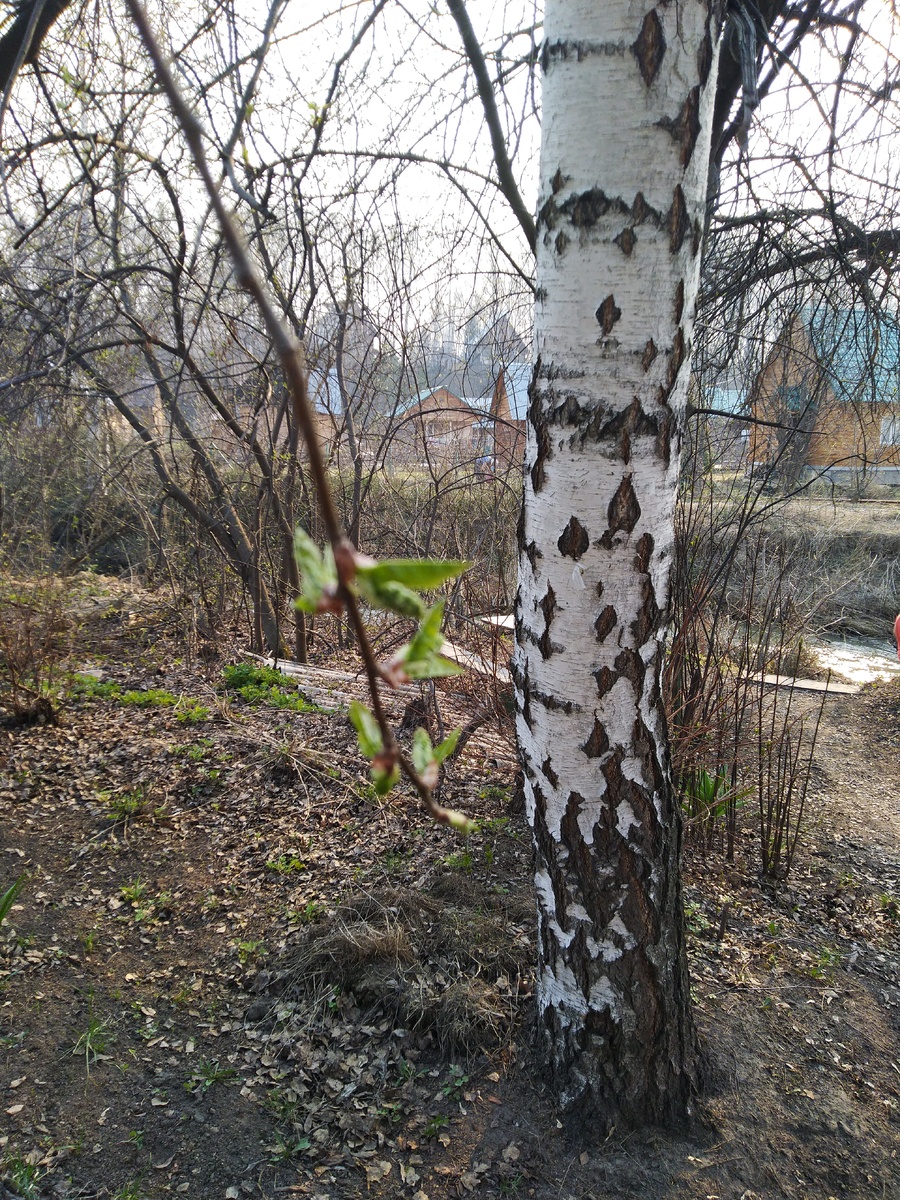 Еженедельный астропрогноз на 30 марта – 5 апреля 2026 года