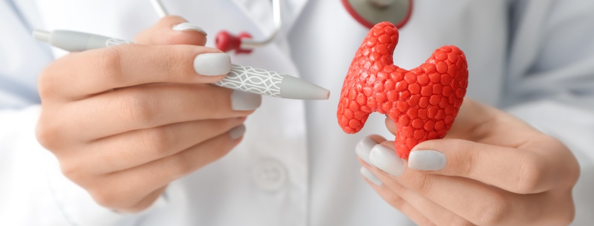    Автор фото: Pixel-Shot/Shutterstock/FOTODOM