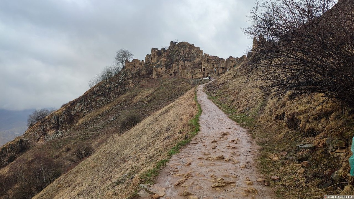     Дагестан   
Юрий Ляшко © ИА Красная Весна