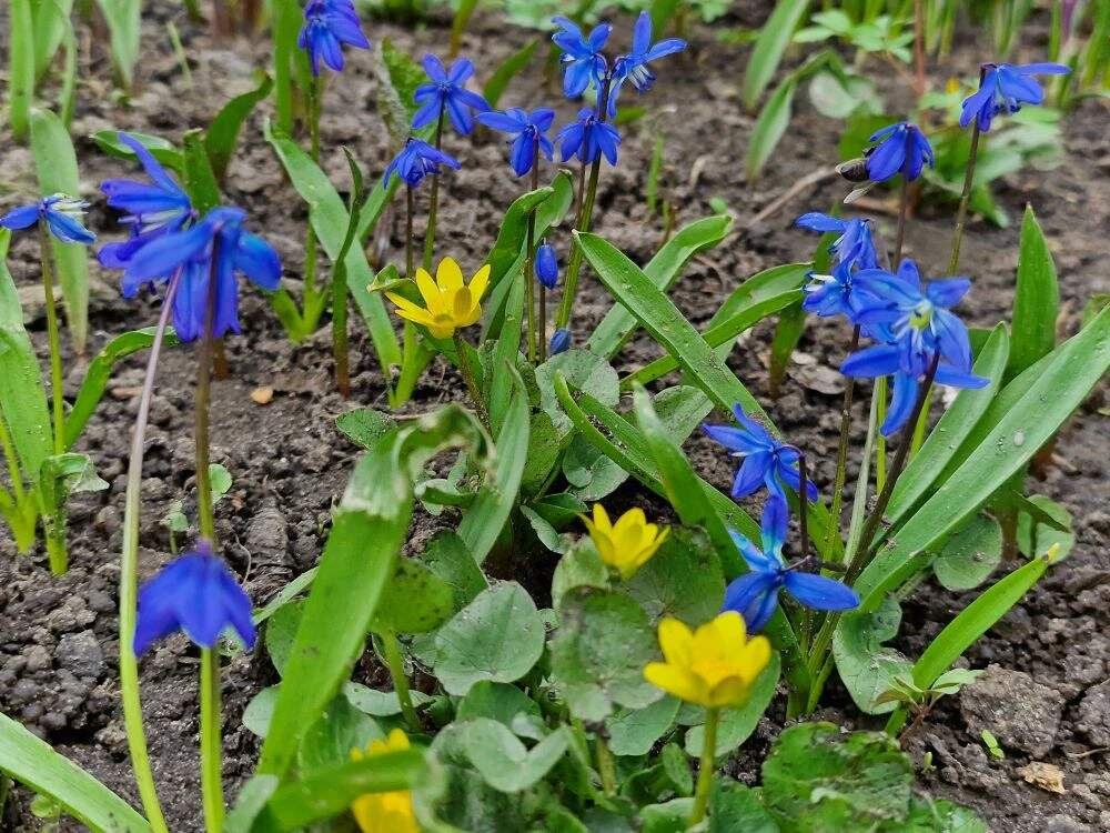    Фото: Е. Богачева. Газета "Земля"