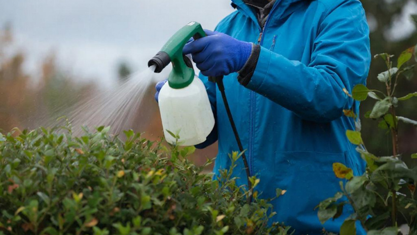    Сгенерировано в нейросети