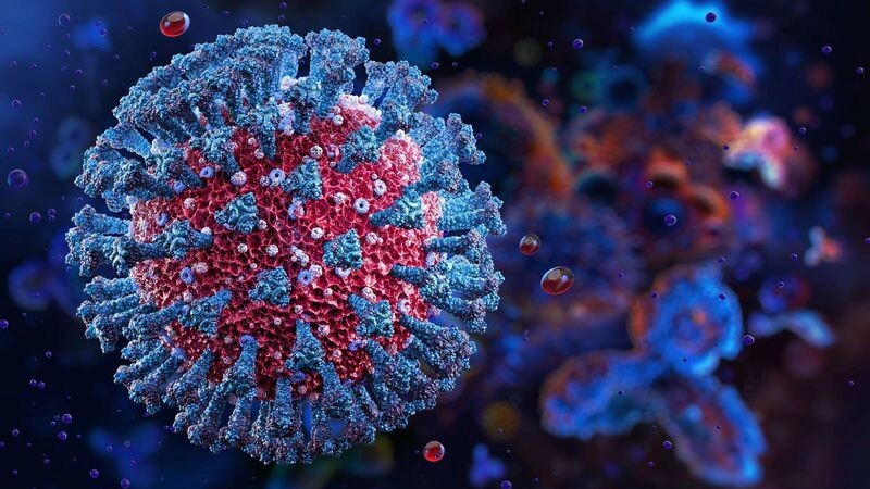    Фото: Corona Borealis Studio/Shutterstock/Fotodom