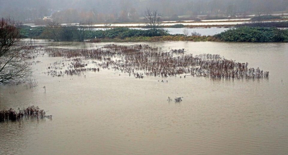    IMAGO/Gottfried Czepluch / www.globallookpress.com