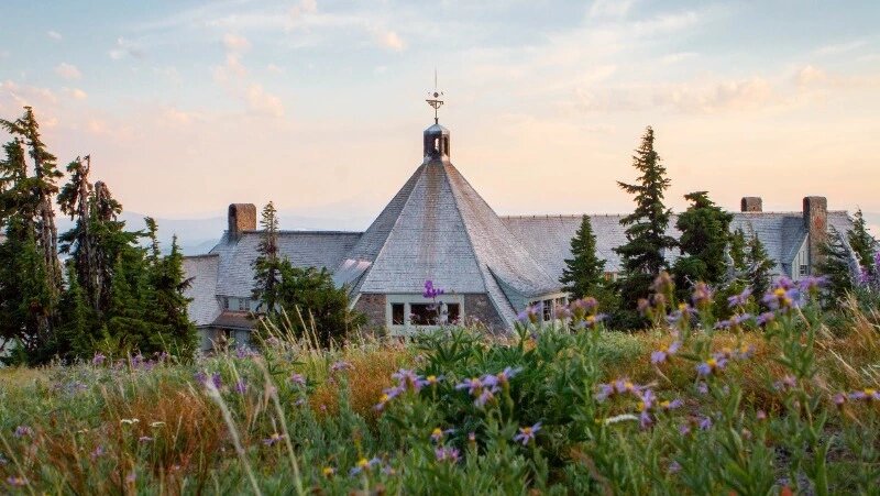      Фото: @wirestock / ru.freepik.com