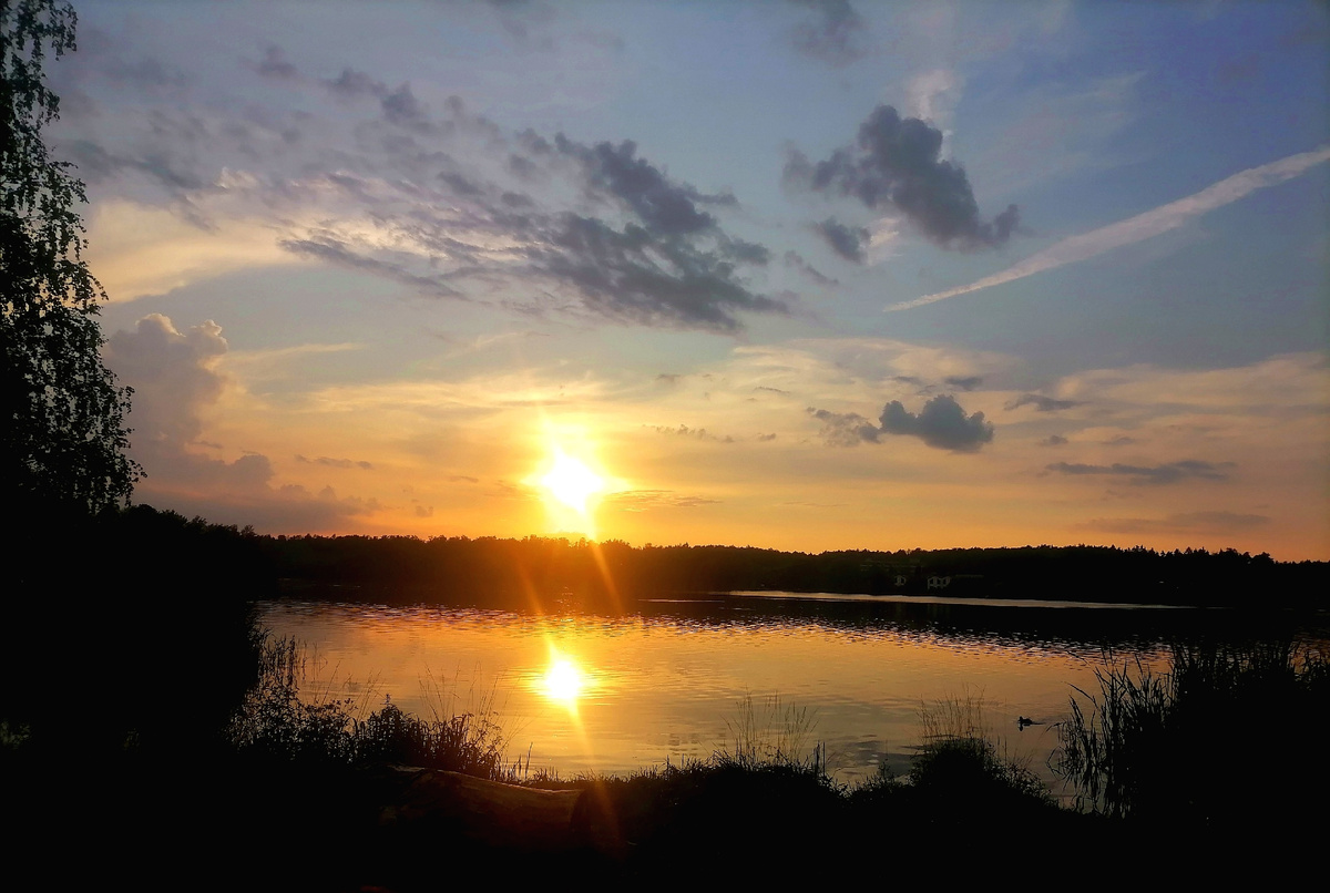 Личное фото автора, архив г.Фрязино 2023г