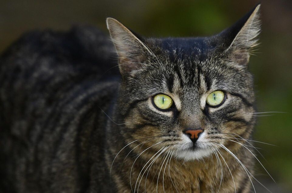    Michael Weber/http://imagebroker.com/#/search / www.globallookpress.com