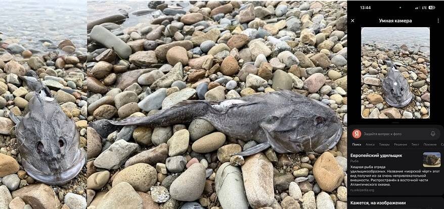    Источник фото: