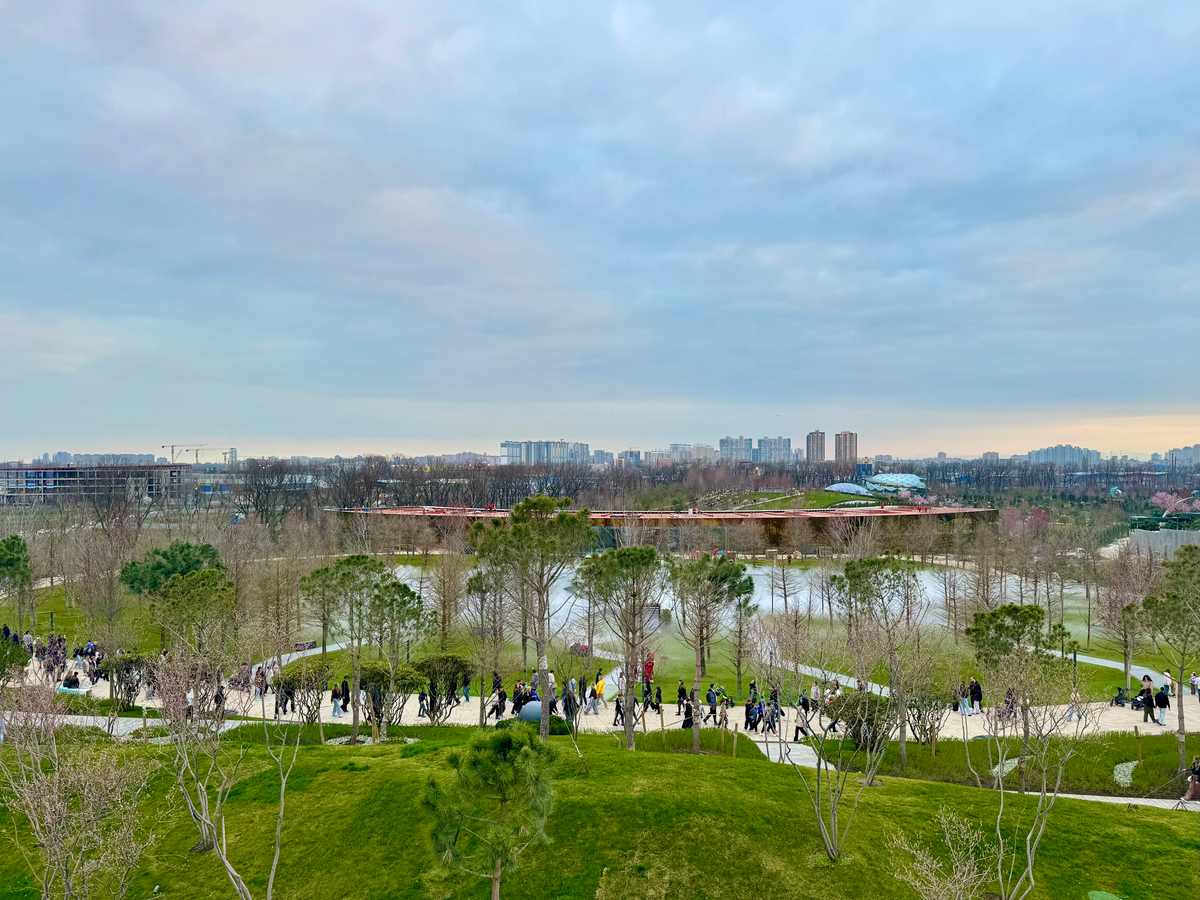 Вид на парк Галицкого от озера «Отражение»