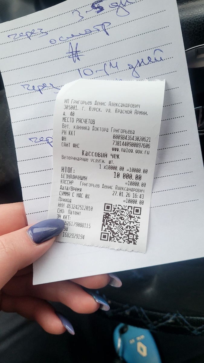 Стерилизация собаки и кошки.