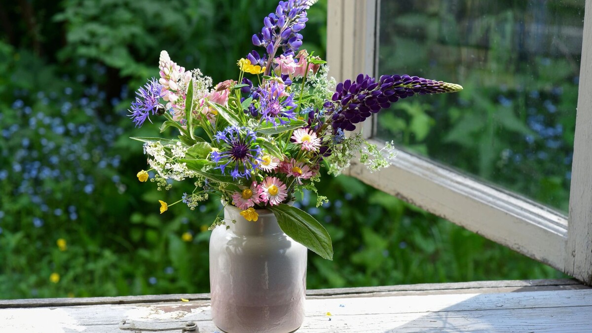    Фото: Stramp/Shutterstock/Fotodom