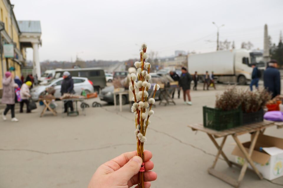    Продажа вербы в Барнауле. Источник: Виталий Барабаш