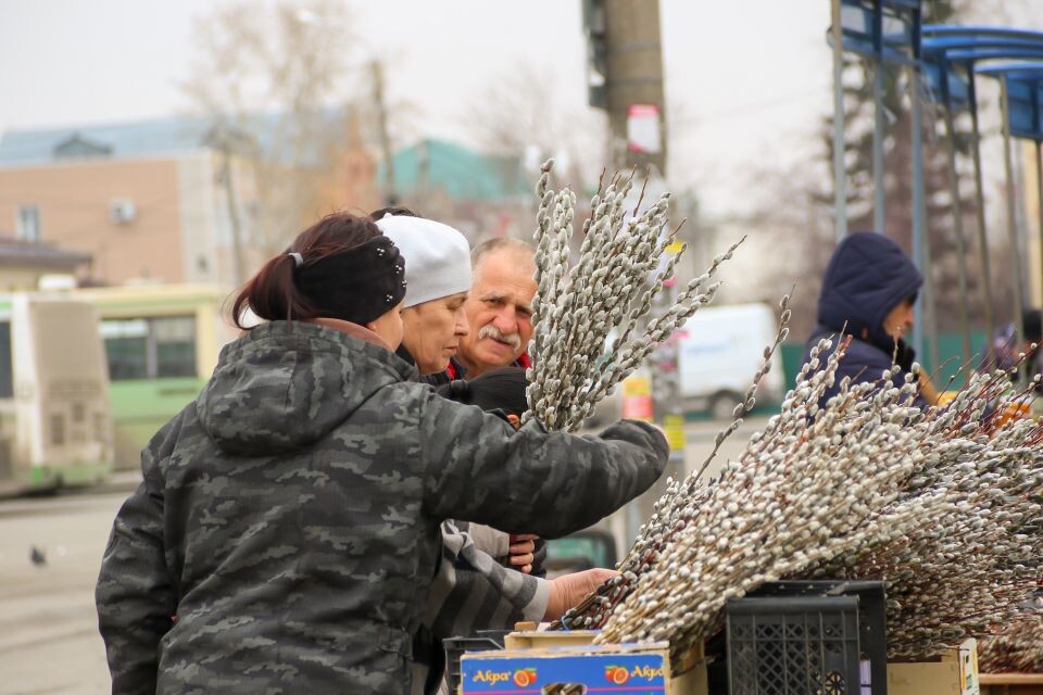    Продажа вербы в Барнауле. Источник: Виталий Барабаш