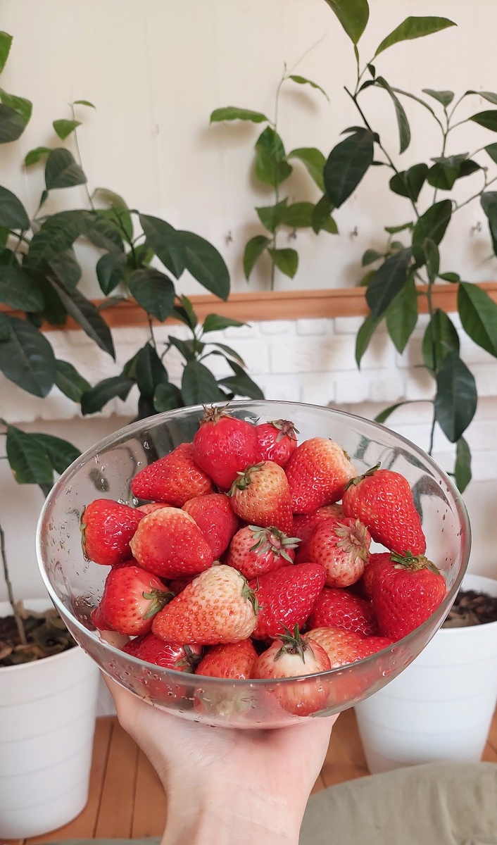 Воскресенье началось ярко 🍓