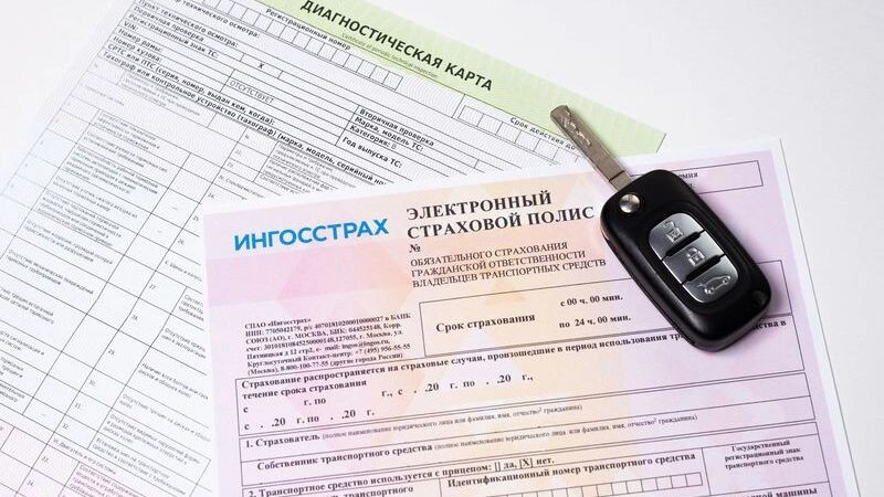    Фото: igorykor/Shutterstock/Fotodom