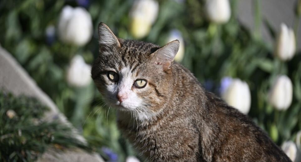    РИА «Новости»