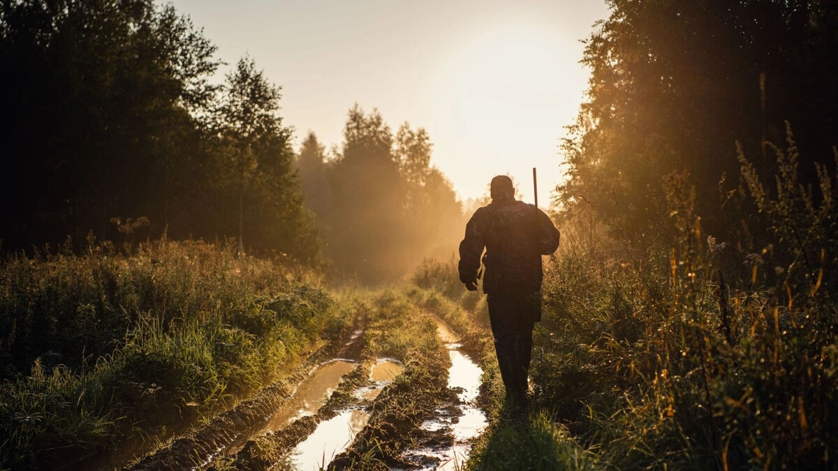    Фото: Roman Kosolapov/Shutterstock/Fotodom