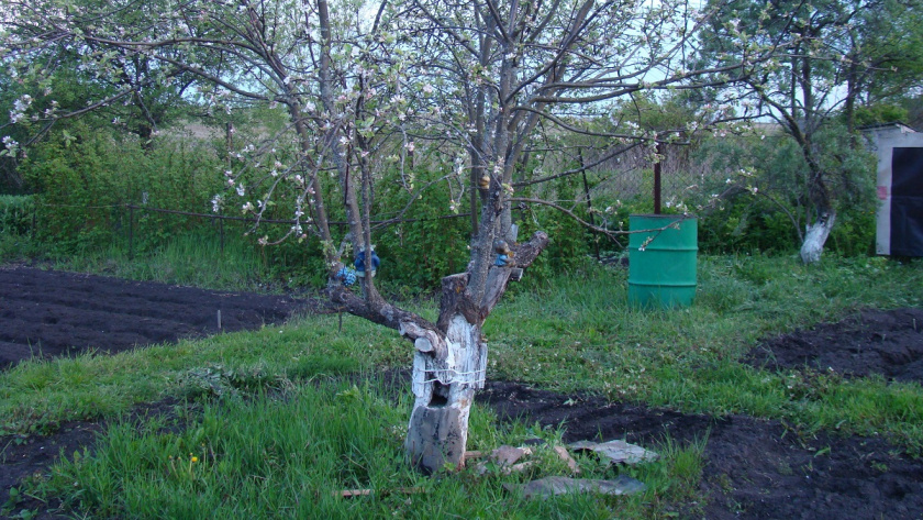    Фото Анастасии Дмитриевой