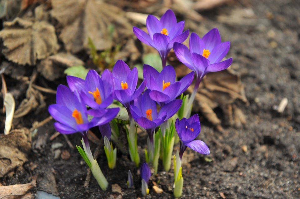   Евгения ГУСЕВА