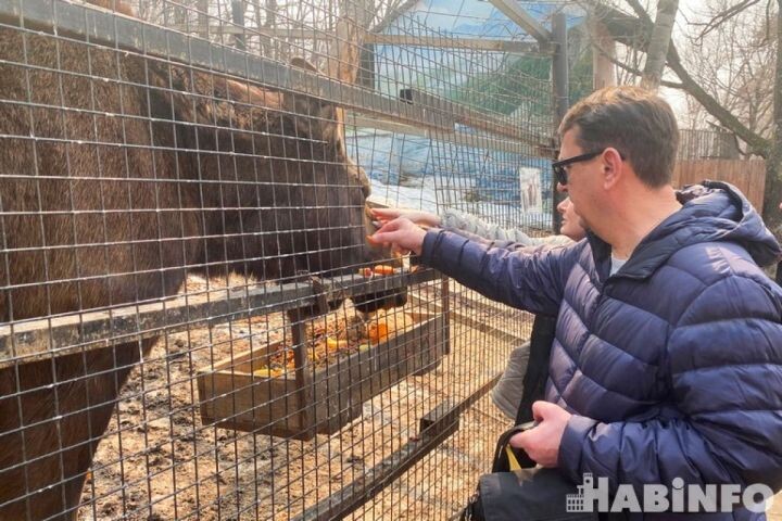    Фото:Елена Барабанова