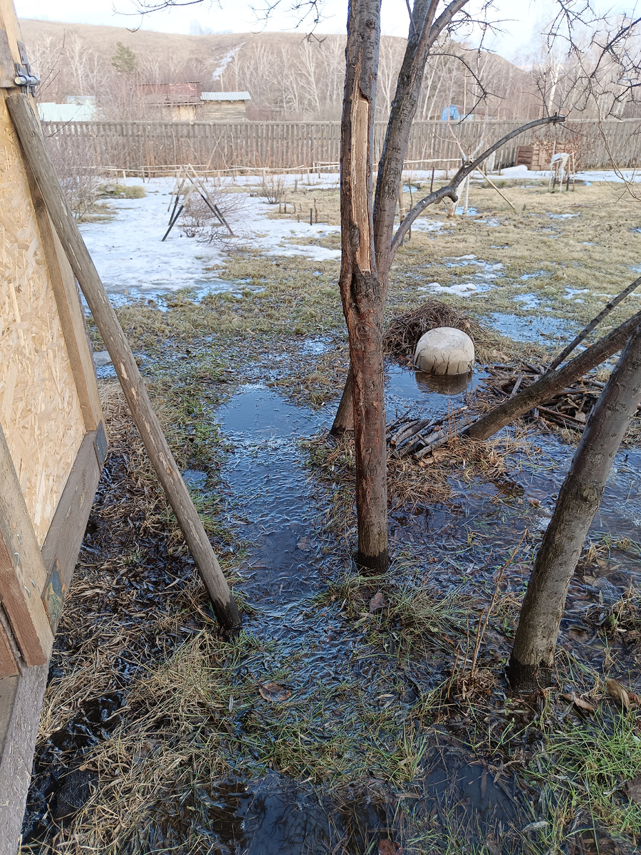 Тут вода течет от соседей выше