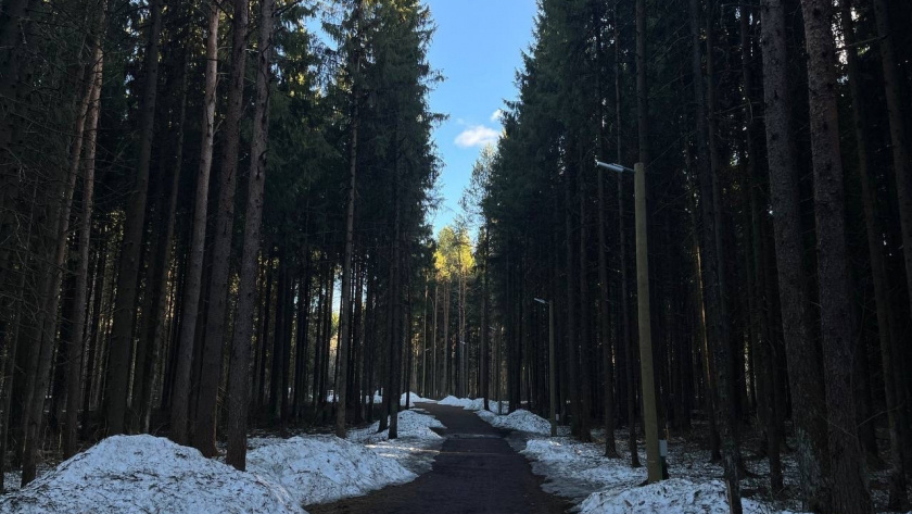    Фото редакции