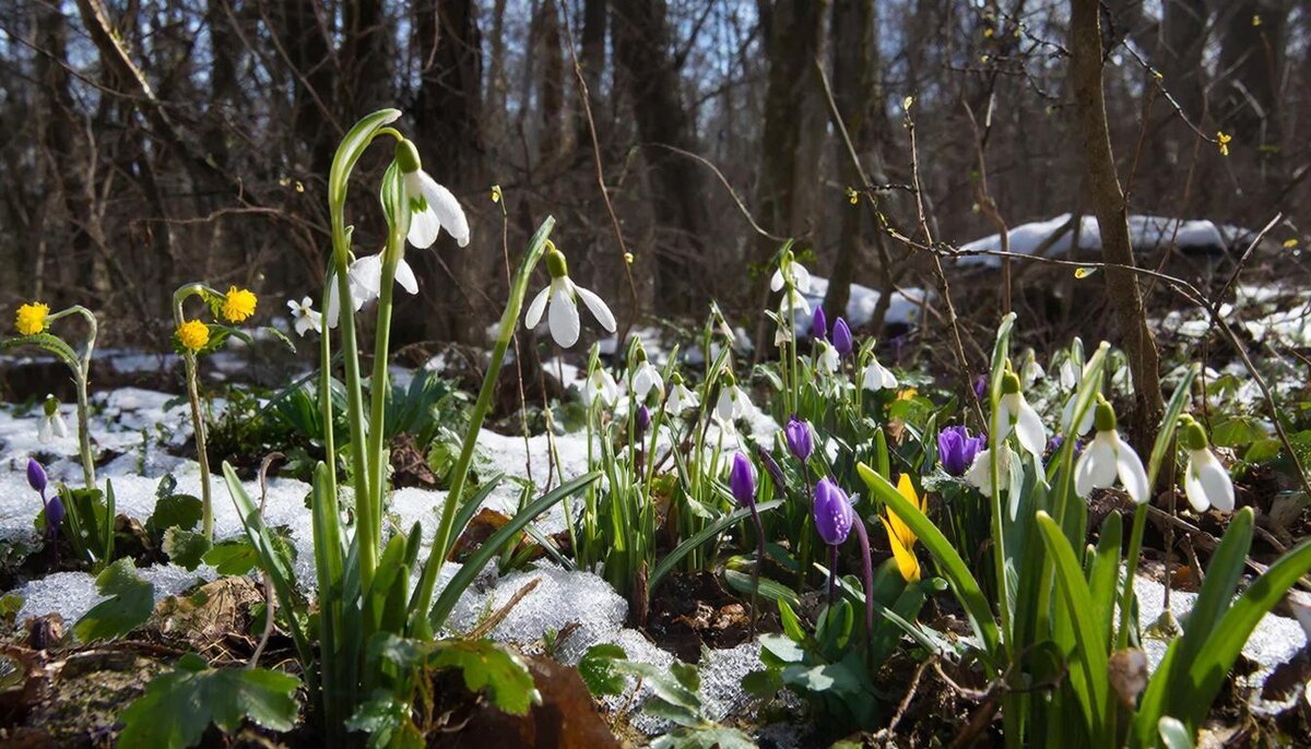 Отличный день для удовольствия и спокойного отдыха, а также подготовки к великим свершениям.