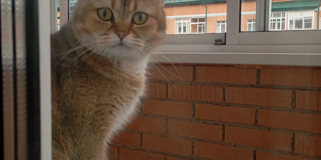 30.03.2026 г. Прожили первый год с огромной ипотекой.