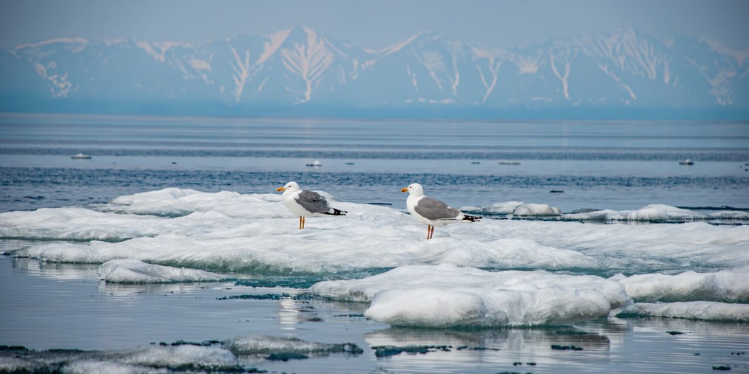 7 причин поехать на Байкал весной — сезон, который многие недооценивают