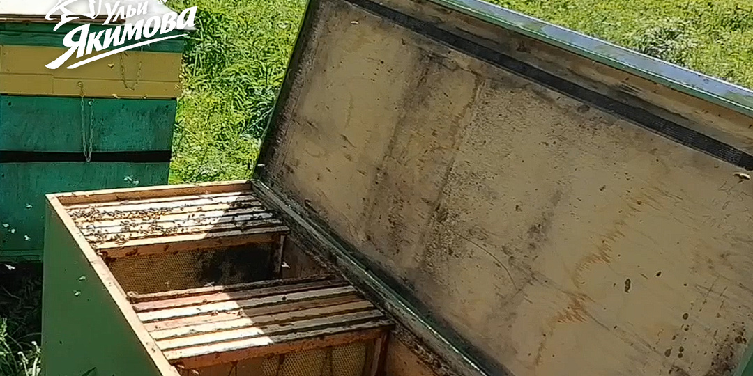 Почему я увеличил улей с 24 рамок до 32 и не стал делать больше