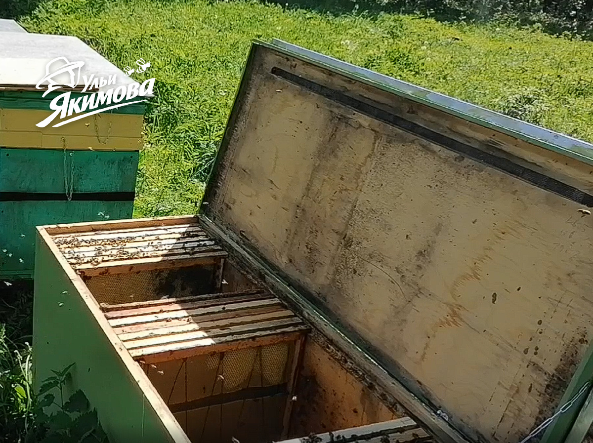 Улей-лежак Якимова