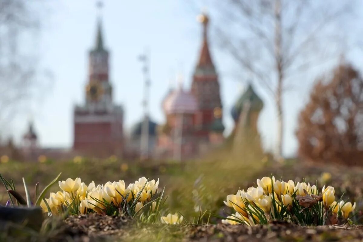    Летнее тепло и чистые дожди: погода удивит новыми аномалиями