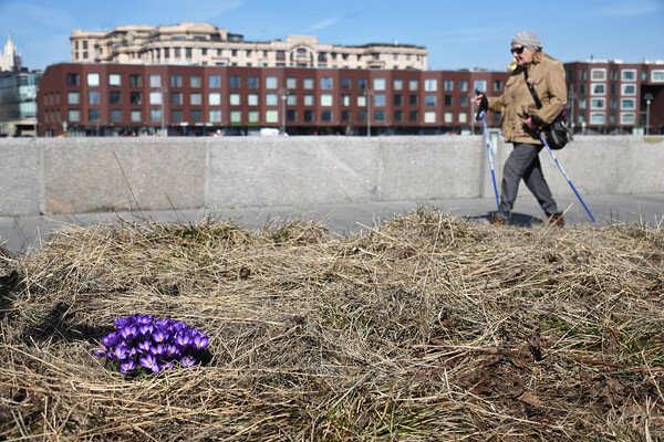Кирилл Каллиников/РИА Новости   📷