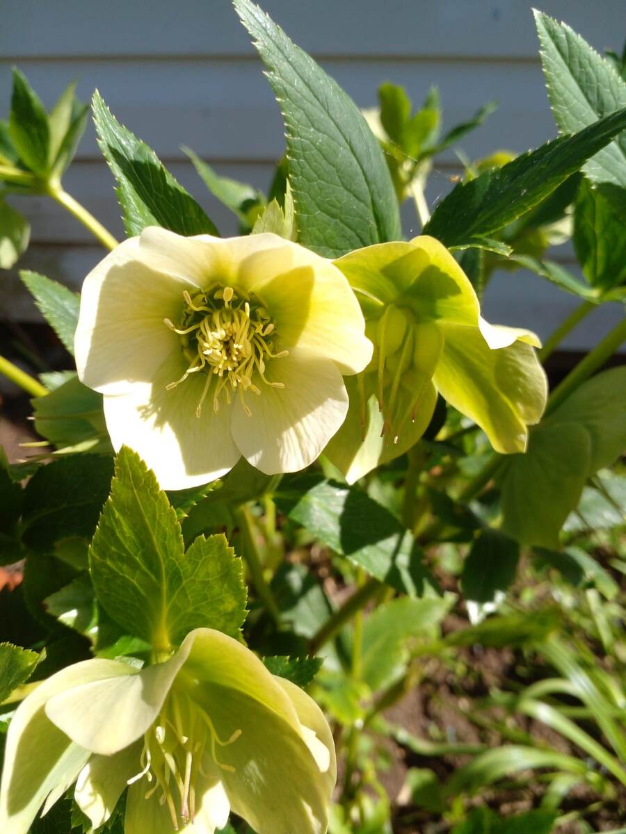 30.04.25 СНТ "Прогресс"