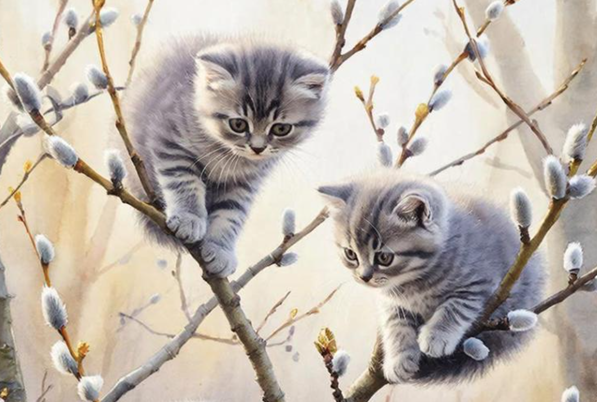 Фото: БФМ-Новосибирск