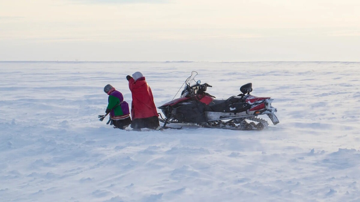    Фото: evgenii mitroshin / Shutterstock / Fotodom