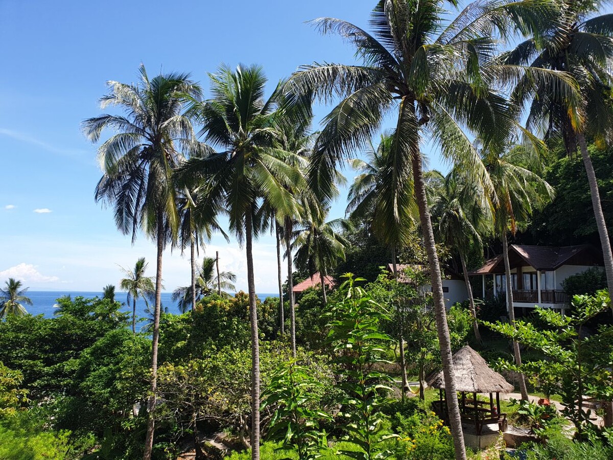 На острове Ко Тао